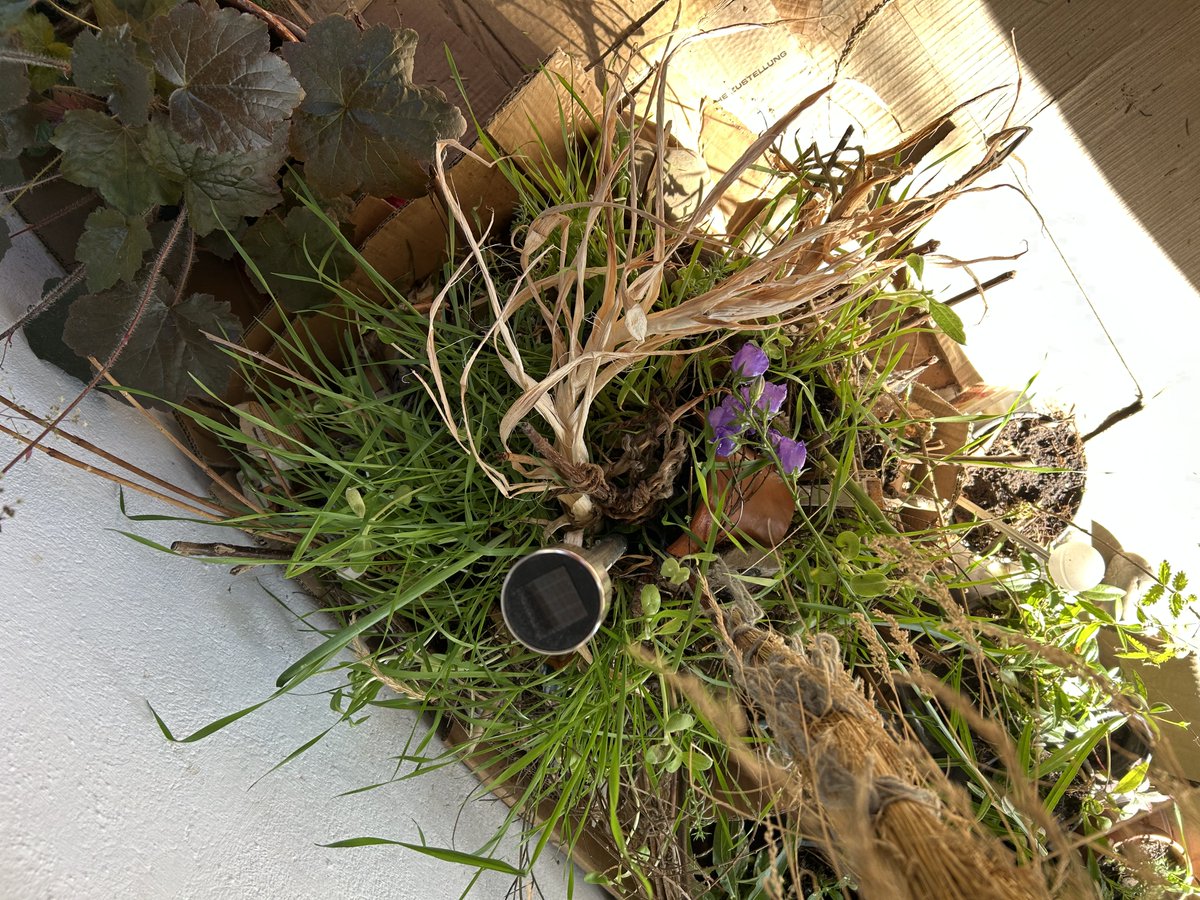 sarahsoehlmann's tweet photo. On our balcony the flowers are mostly purple, which is a very beautiful color. Purple is one of my favorite colors 💜. A selfie is also included! #Selfie #Flowers #Summer #FavoriteColors https://t.co/rwmVX7JDof