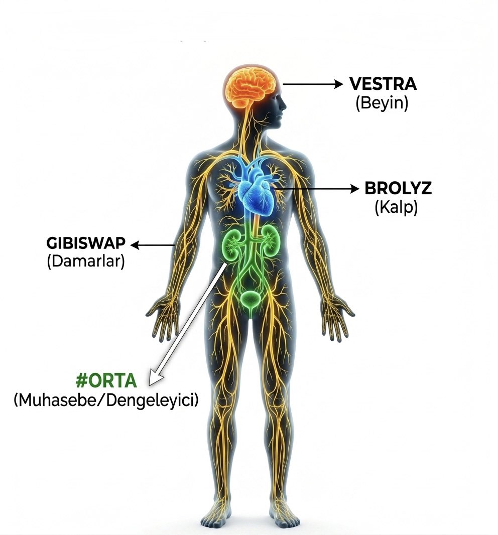 doctorsunhine's tweet photo. Ekosistemi anlamak için çok önemli. 

🧡 @vestra ekosistemin beyni
💙 @brolyz buranın kalbi/motoru
💚 @ortachain tüm ekosistemin finansal tansiyonunu sağlayan dengeleyici/muhasebe 
💛 @gibiswap likiditeyi taşıyan damarlar 
https://t.co/LeTssNxyhw https://t.co/Jn8gj85pAt