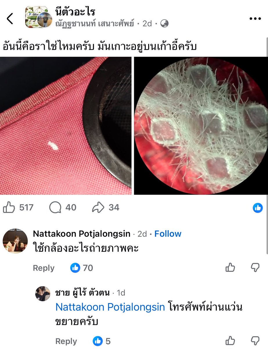 ppcchhhh's tweet photo. โหพี่เค้าใช้โทรศัพท์ถ่ายผ่านแว่นขยาย สุดยอดดด นึกว่าใช้กล้องจุลทรรศน์ https://t.co/gHbZcz0GRW