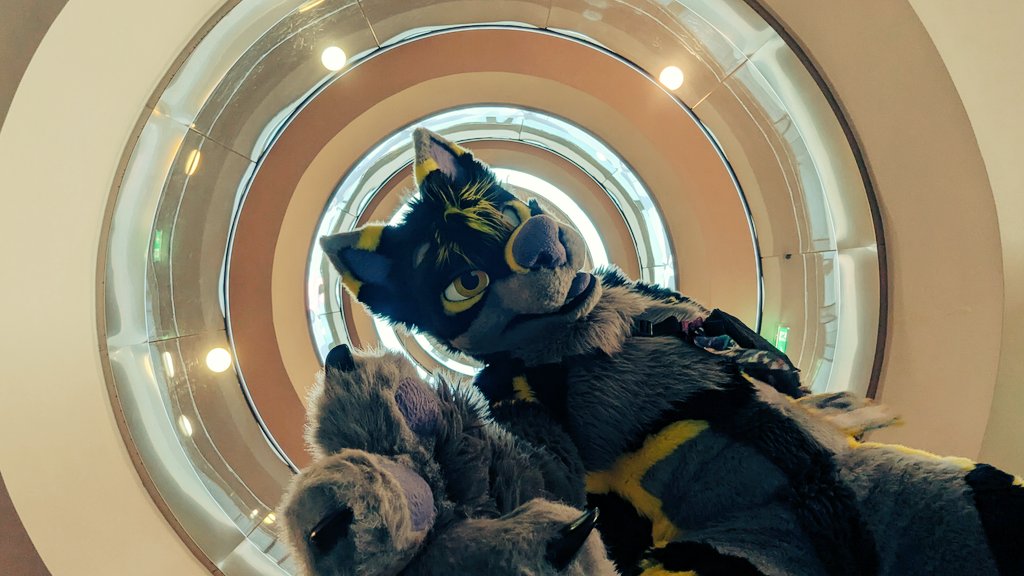 Thatw0lf's tweet photo. Hello from Furizon https://t.co/q09OY33V1B