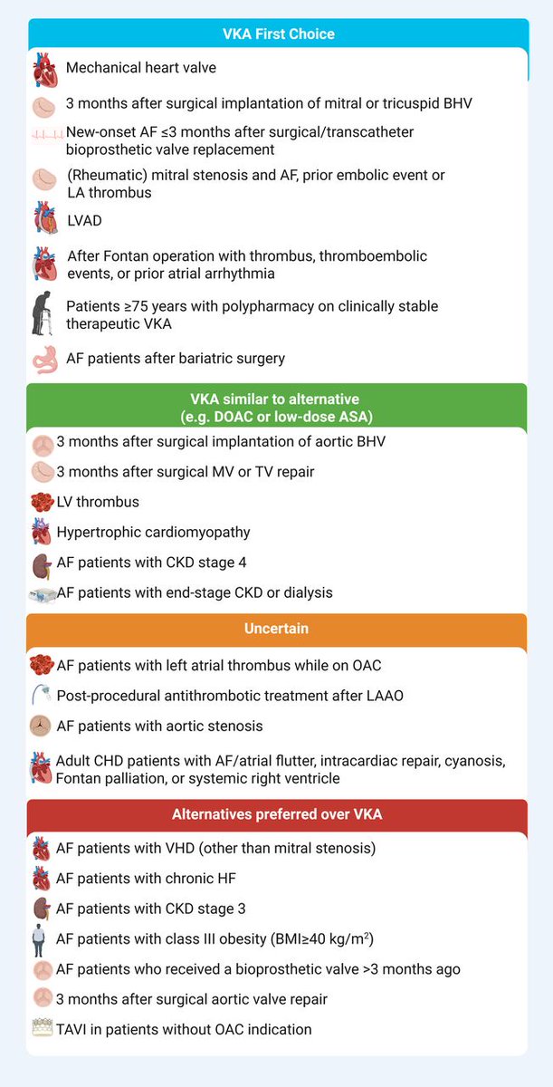 Heart_BMJ's tweet photo. Timeless therapeutics: cardiac indications for vitamin K antagonists in clinical practice

https://t.co/PemIAUAJEJ https://t.co/SHO1Pjj0AL