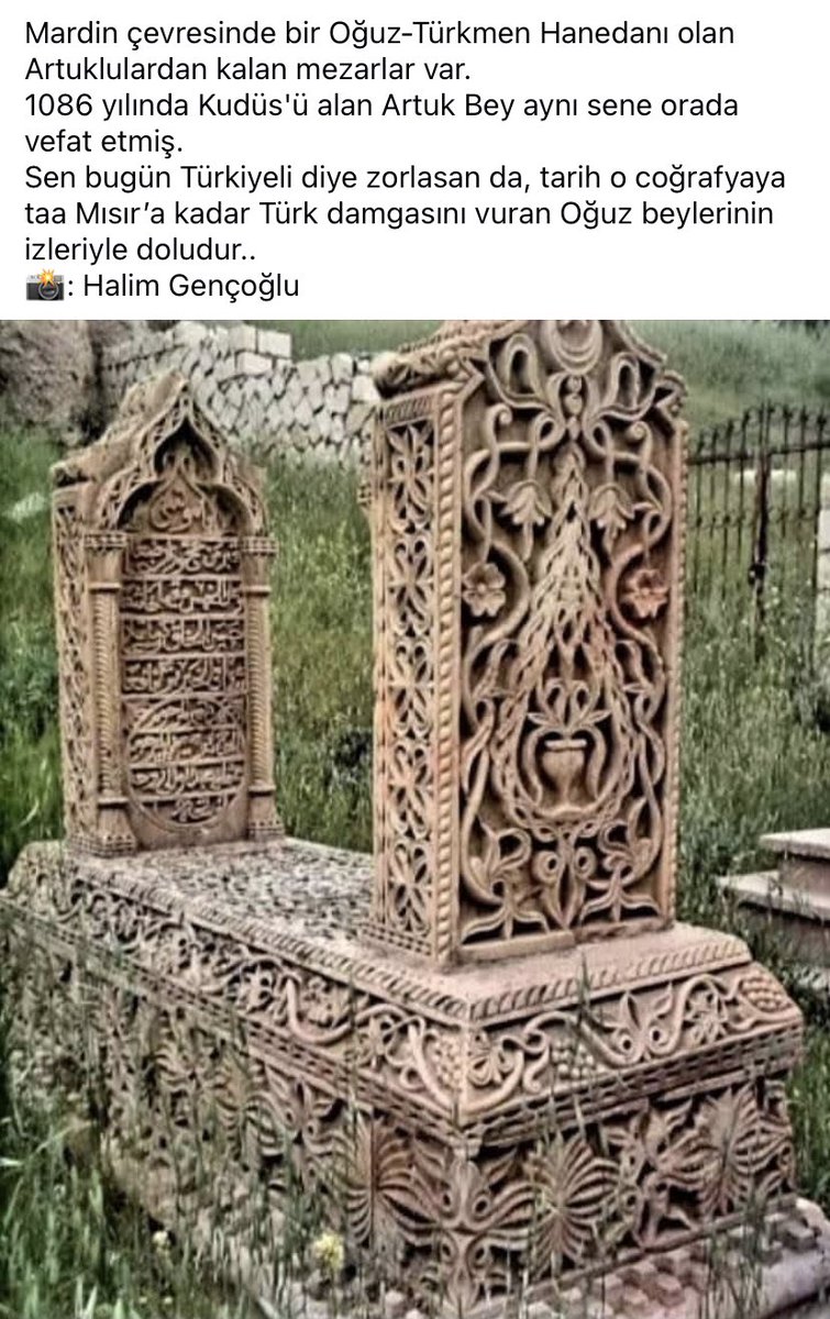 TomirisTuran's tweet photo. @gokceekatuun Zaten bölge Türkmen yurdlarıdır, kürt Türkçe bir kavramdır. Türk sultanların çalışdırmak için hindistandan getirdiği kurmanç hint çingeneleri kuzen kuzene üreyerek Türk ulusun başına bela oldular! Hepsini yeniden geri hint ormanlarına göndermek şart! https://t.co/zLv2kHWsok