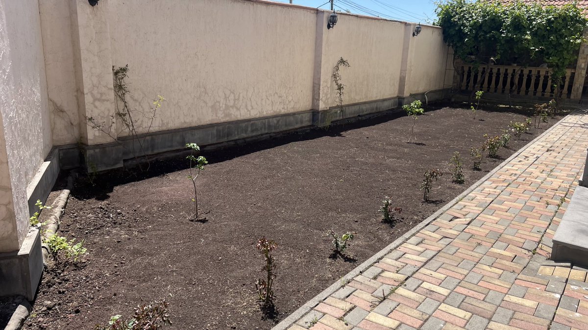 melikofararat's tweet photo. Finally, finished the backyard.

I do not believe there to be anything better than a wall covered with climbing roses.

Ararat is Beautiful. https://t.co/7YXmzR3Lfe