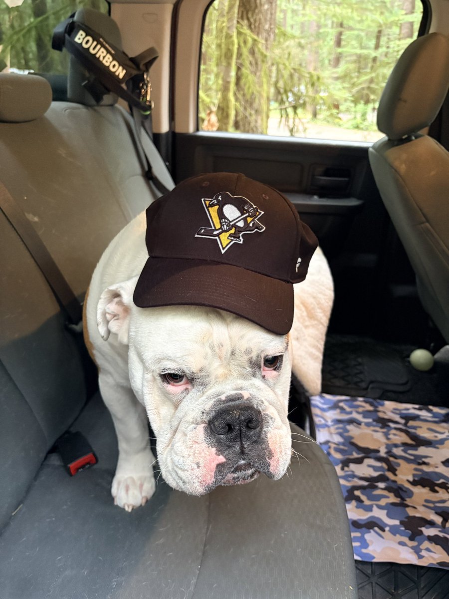 bourbon_karalyn's tweet photo. Trying to steal dad’s truck to make a drive thru run! Who wants me to pick them up! Can you believe she put her hat on me 😤😂 #goinghome https://t.co/cDW3HantAT