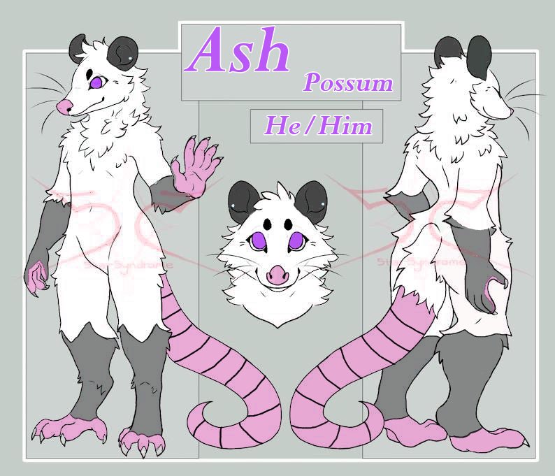 AlexFox2176's tweet photo. @SaoirseBeeVT Thanks for the opportunity! https://t.co/O3bgQGMX61