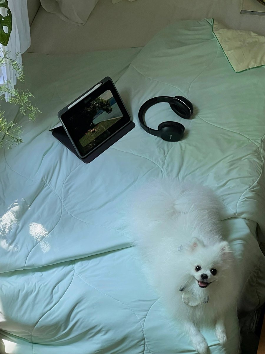 tulinaydinn's tweet photo. Missing your laugh across time zones, but my coffee’s always hotter with your late-night voice note https://t.co/6DOGi1uYQs
