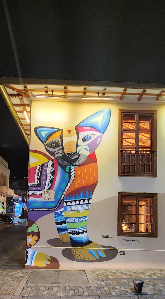 pibfer's tweet photo. #Bogotá #lacandelaria #cat #photo https://t.co/4FSLGPR17o