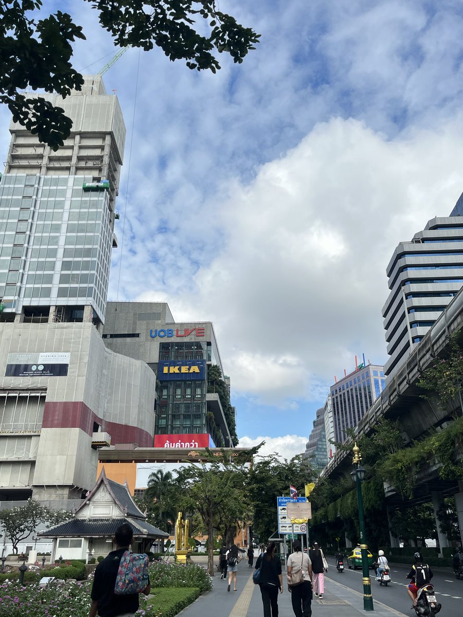 ถั่วต่างต่าง🫛💖⋆.ೃ࿔*:・ tweet media