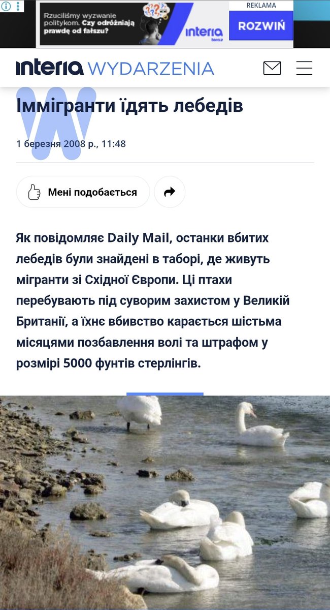 ZelRiver's tweet photo. @breakingUAnews Поляки не краще від українців. https://t.co/XbrZWLZ1Xy