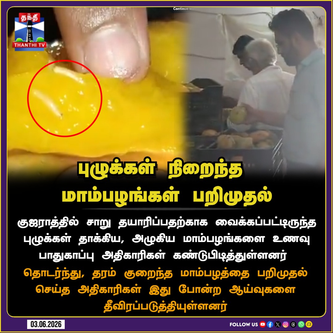 ThanthiTV's tweet photo. புழுக்கள் நிறைந்த 
மாம்பழங்கள் பறிமுதல்

#MangoSeizure #FoodSafetyDepartment #Gujarat #thanthitv https://t.co/yvJKEhjd1U