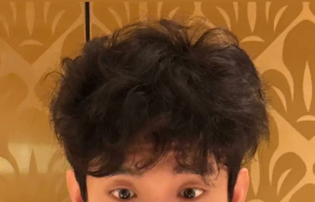 cheolhanglazer's tweet photo. just a reminder that dk has naturally curly hair https://t.co/ylQULLFaRr
