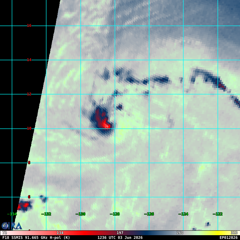 WeathermanAAA_'s tweet photo. Tropical storm #Amanda has been designated this morning and has decent organization in the low and mid levels according to recent microwave data. The official forecast is for 55kt; however, I wouldn't be surprised if it makes a brief run at hurricane status given this MW progression and its rather small size.