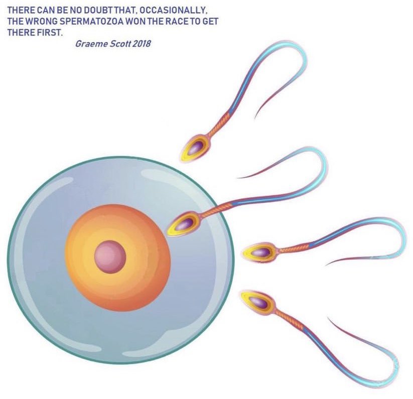 S123EVENTS's tweet photo. @TAnton94255 @TomK_Brit1993 How unfortunate that the wrong sperm got through and created you! 👇 https://t.co/iXtJ0ZOyOU