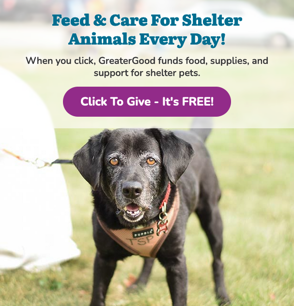 CarverJohns's tweet photo. Feed and Care for Shelter Animals Every Day for Free!

https://t.co/0CsKyy0A4W https://t.co/ILdDRQHTBf