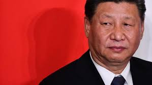 谢万军 Wanjun Xie tweet media
