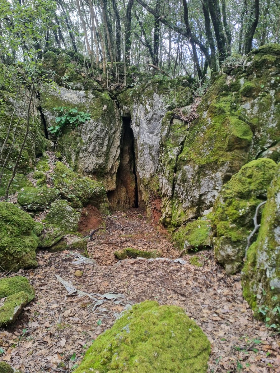 PMontemarcello's tweet photo. I boschi di #Pignone rivelano scorci di pura bellezza.
#parcomontemarcellomagravara #biodiversità #sostenibilità #beactiveliguria #lamialiguria #liguriapreziosa #6giugno https://t.co/1Xg24zaEuw