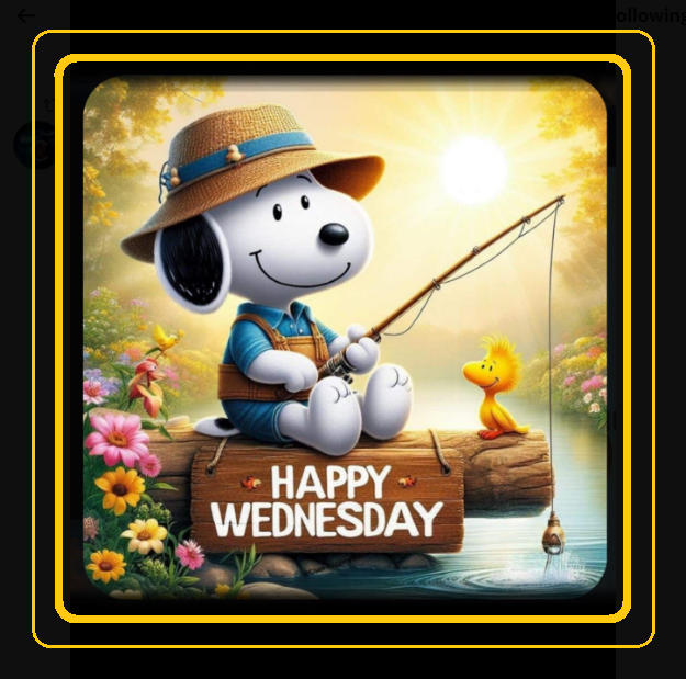 lisahsmithlhs's tweet photo. @DougCheesman ༺GOOᗪ ᗰOᖇᑎIᑎG༻ Doug,  ℍ𝕒𝕡𝕡𝕪 𝐖𝐄𝐃𝐍𝐄𝐒𝐃𝐀𝐘  ☀️😎☕️🎶  I Hope You're Having a Terrific Start to Your Day my Fren!  ☺️🤗🫶🏼🙏🏼 https://t.co/OLi2xx4oSc