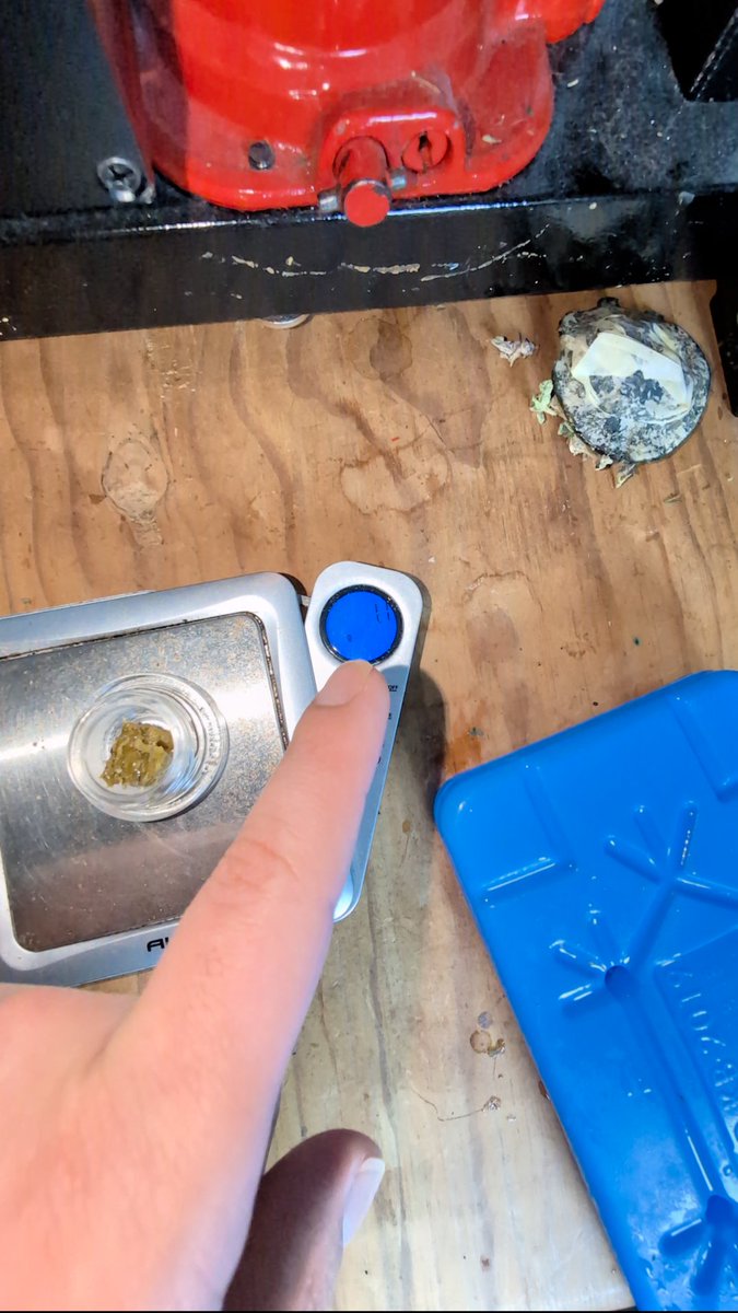 nova2cotton's tweet photo. 6.8 grams of flower in.

1.1 grams of rosin out.

"Toad Venom" O_O

Uff... lol 🤣

You know what I've noticed though?

My favorite weed to smoke usually presses amazingly well.

But the flower I don't really enjoy smoking always seems to press like this 😂😭

It's like the plant knows.

"Ah yes, you enjoyed the smoke? Here's 20%+ return."

"Oh, you didn't like me? Here's your 11% return. Get wrecked." 🤣

I swear some strains are meant for jars and some are meant for presses O_O