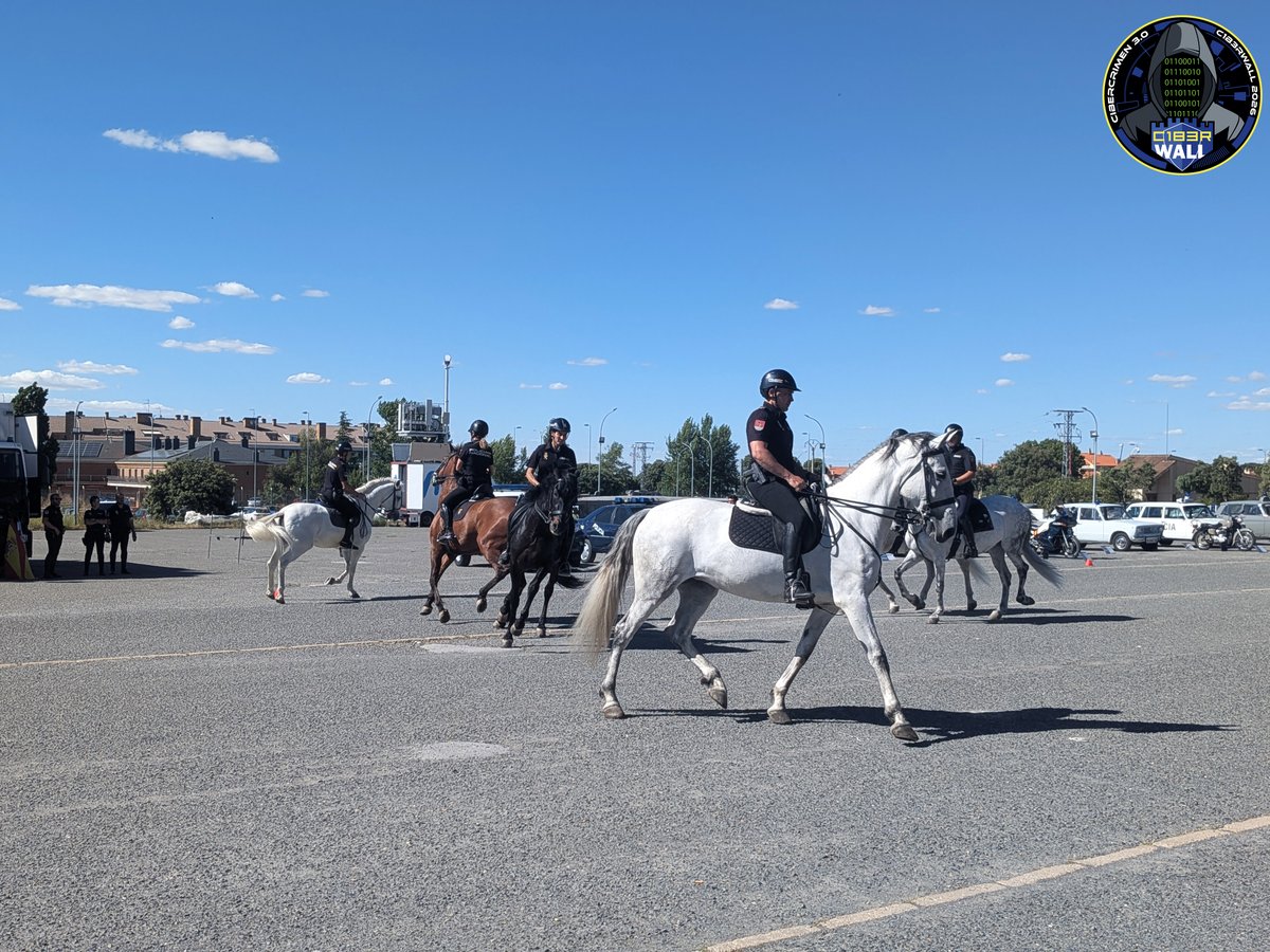 C1b3rWall's tweet photo. 🐎Exhibición de caballería para concluir la segunda jornada de C1b3rwall 2026.

👨‍🎓Más de 20.500 participantes y 300 ponentes con el lema "Cibercrimen 3.0" se dan cita en la @PoliciaEscuela https://t.co/ky5AznySoO
