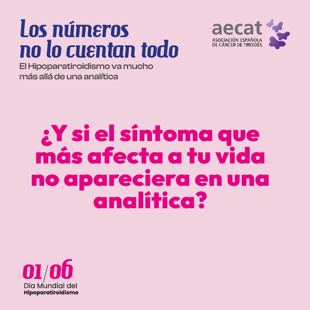 aecat_es's tweet photo. 🧠 Dificultad para concentrarse.
🧠 Olvidos frecuentes.
🧠 Sensación de niebla mental.
Son síntomas q muchas personas con #Hipoparatiroidismo experimentan y q no siempre aparecen en una analítica.

#LosNumerosNoLoCuentanTodo

🔗https://t.co/euKErQe8hL

Hilo 👇 https://t.co/Oin7XwLTsG