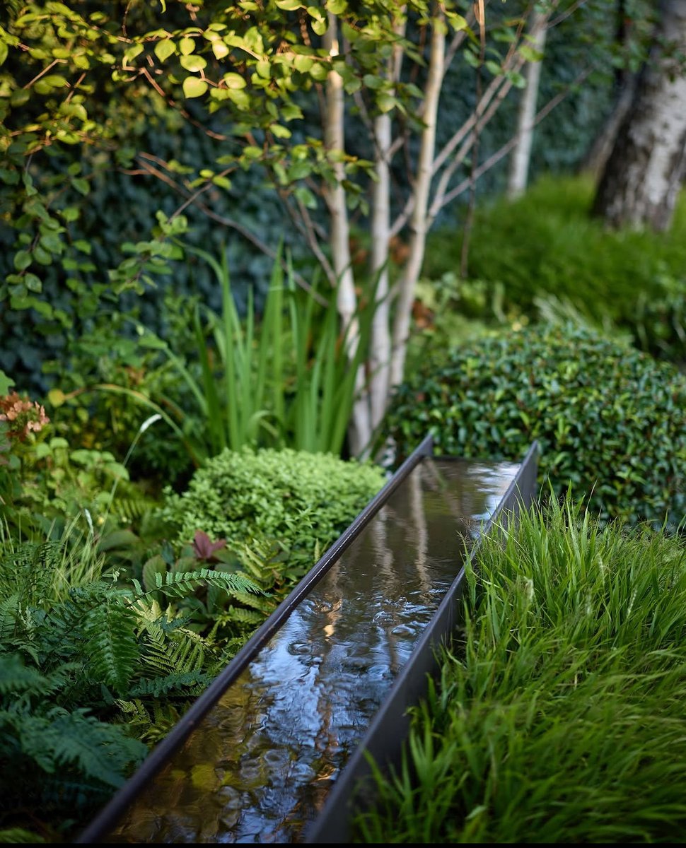 GardenerFliss's tweet photo. Water brings a garden to life. 
You don’t need a large pond or elaborate fountain even a small water feature can make a remarkable difference. The gentle sound of moving water adds a sense of calm, attracts birds and pollinators, and creates a focal point that draws the eye. https://t.co/YFDhkTLQLK