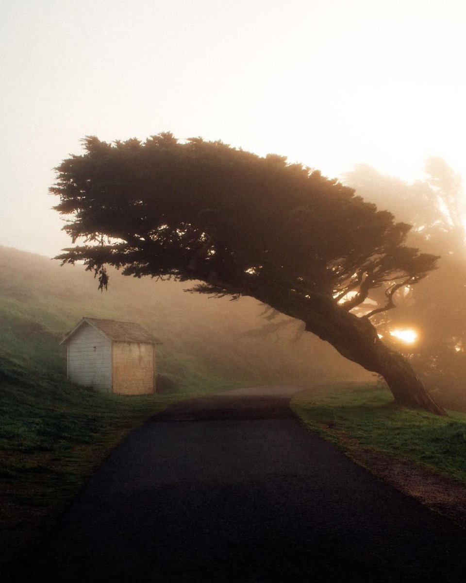 visualsofearth1's tweet photo. Point Reyes https://t.co/2jY5adX15O