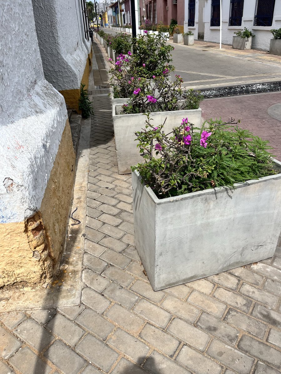 mbcjpp's tweet photo. Ya va siendo hora de retirar estas “jardineras” que solo han servido para entorpecer el uso por parte de peatones y personas con movilidad reducida. @AlcaldiaVpar @ErnestoOrozcoD https://t.co/Kgrf6EQHaL