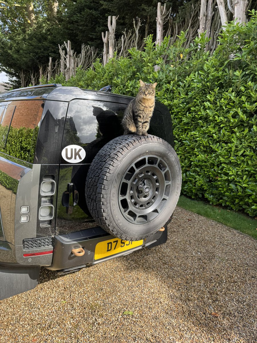 freddiecamp's tweet photo. Guarding the Defender. 🐈‍⬛ 👍🏼 https://t.co/iB9egR2fQA