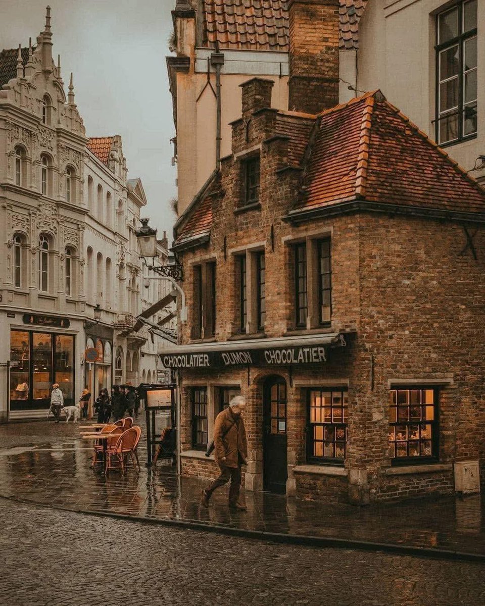 WildscapeWonder's tweet photo. Bruges, Belgium 🇧🇪 https://t.co/L65P8Dyw3f