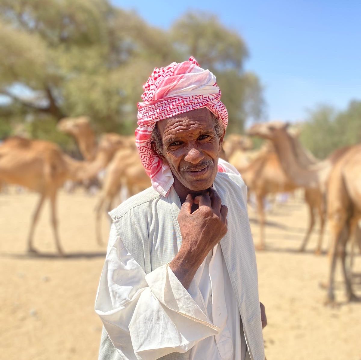 untamedborders's tweet photo. We only have a few spaces left on our new group trip to Eritrea. Over 7-days in October we’ll visit its historic cities, dramatic mountain scenery, explore the Red Sea coast &amp; meet its rural communities. Join us in October, in this fascinating nation ⬇️

https://t.co/tVSeXGMXKd https://t.co/k3RXYbpYZR