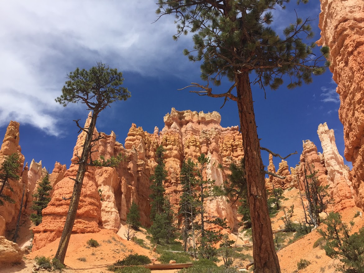 MiniRetireMatt's tweet photo. Travel Adventure Field Notes
Utah
2017

Exploring Bryce Canyon National Park... https://t.co/dTUEpgEVCD