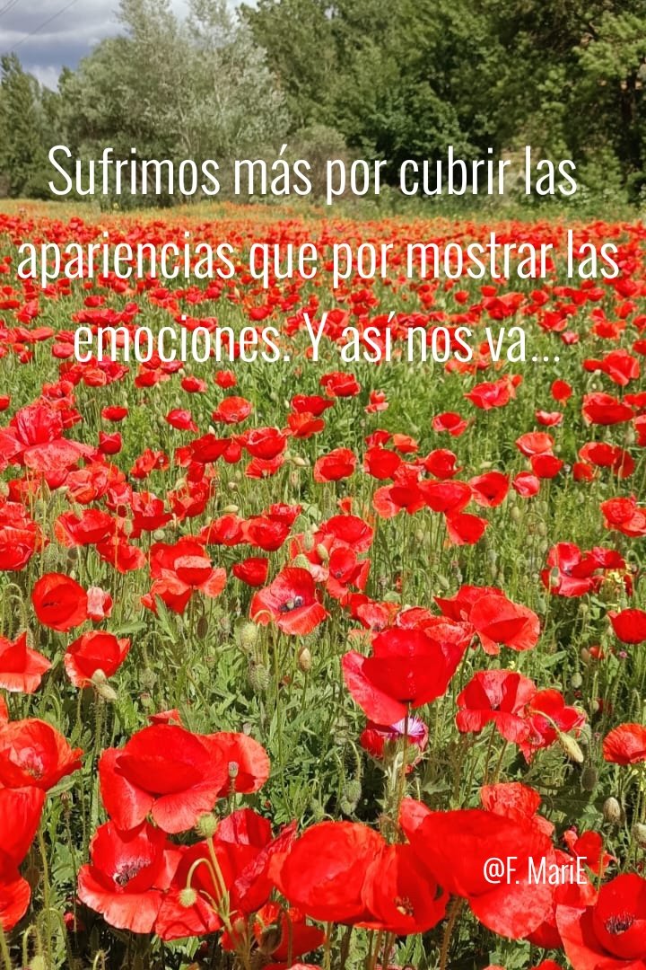 AcunoEstrellas's tweet photo. https://t.co/A5LACDnSMj