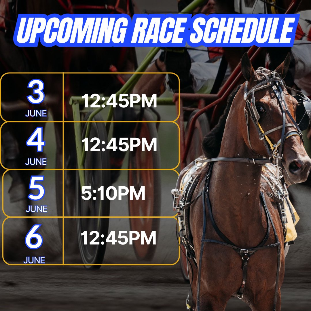 TheMSOA's tweet photo. A full week of racing is ahead at The Meadows!

🐴 Wednesday, Thursday, and Saturday at 12:45 PM
🌟 Friday Night Under the Lights at 5:10 PM, featuring Food Truck Fridays!

Thursday's card is highlighted by the $18,000 Open Trot, while Friday welcomes Pennsylvania Sire Stakes and Stallion Series action for the 3-year-old filly pacers.

Get your FREE past performances at https://t.co/aSsMlgT3F2!

📸: Chris Gooden