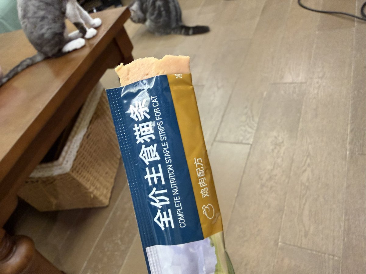 海雀 tweet media