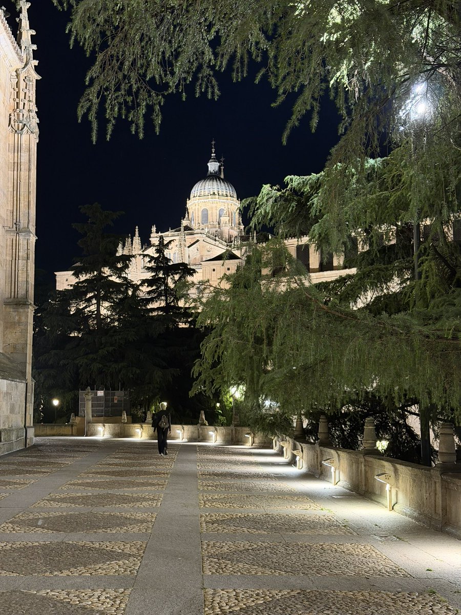 gioarena_'s tweet photo. Lo que es un paseo nocturno random por Salamanca. Tiene las calles más inspiradoras que he visto de noche. https://t.co/wgnV0XAK2p