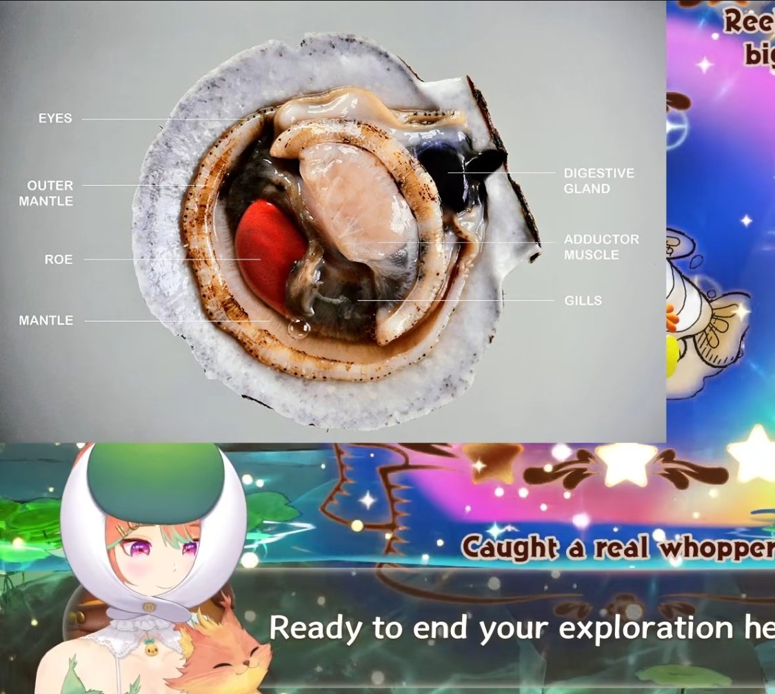 CSOneesan's tweet photo. I just love the variation of topics covered in Wawa's game play streams always
The game looks so fun I'm seriously considering getting Switch 2!
#KFP https://t.co/HEUT5vdIod