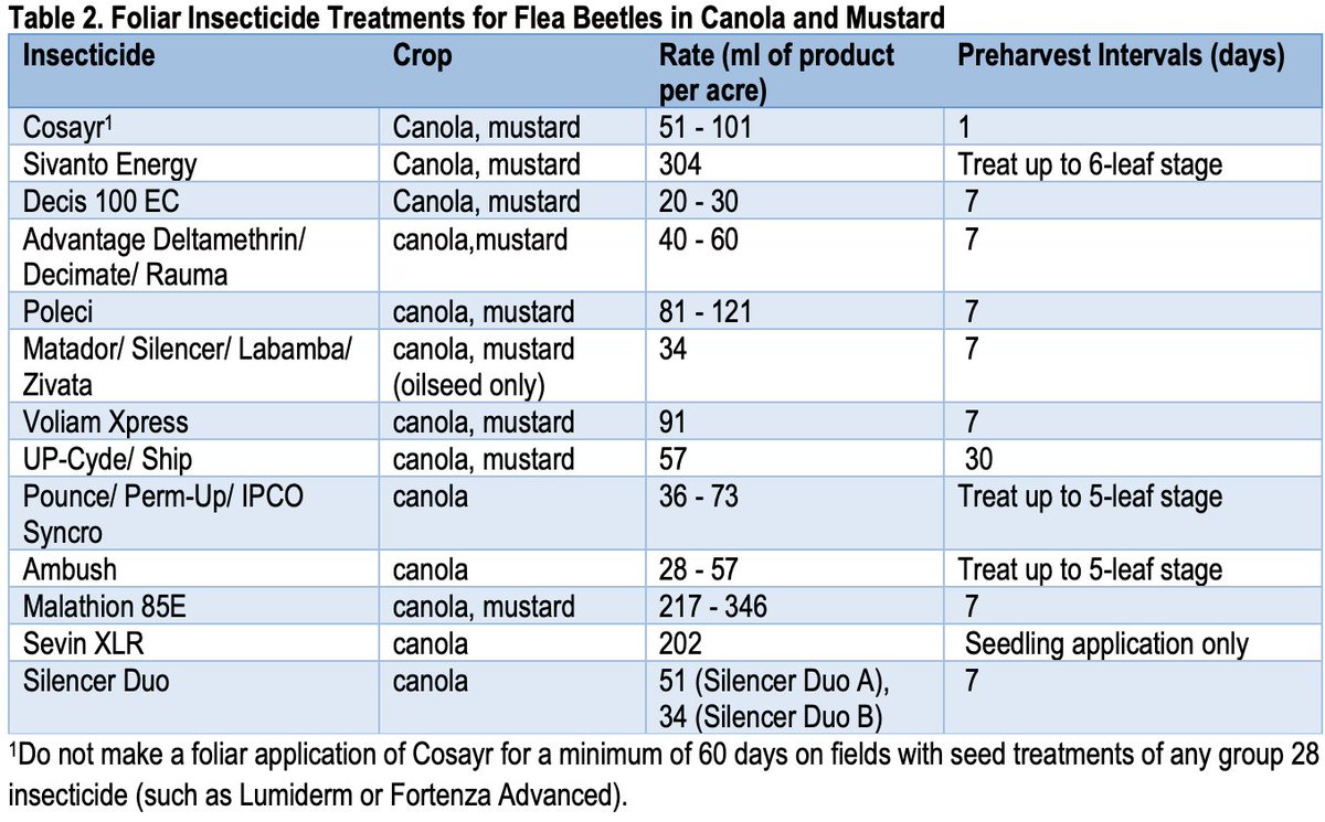 CanolaGrowers's tweet photo. Farmers have another flea beetle management tool to consider, with Cosayr® (chlorantraniliprole) now added to the list of registered flea beetle control options. https://t.co/aZjBkA65yS