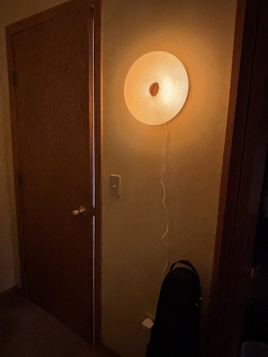 oIiveflounderz's tweet photo. i finally put my lamp up on the wall after forgetting about it for like a year #lamp #lamptwt https://t.co/Qdd8mv0qqK