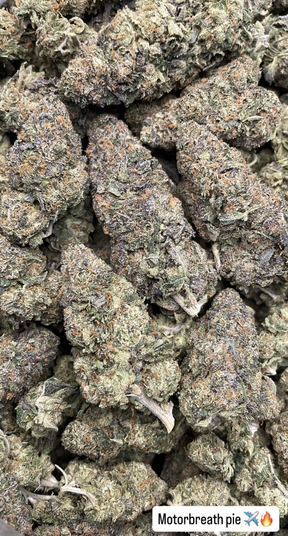 ActivePlugDice's tweet photo. •Come shop with the best mobile plug out guys 🚀🚀🚀 
•Come buy your weed in person and don’t get scammed . 
Text : 346-500-3415
#HoustonMobilePlug 
#Shroomhtx  #CincoRanchWeed #Jerseyvillageplug #JerseyvillageWeed #houstonmeetup #htxmeetups #HoustonPride #PrideMonth #HTXpride https://t.co/xmvs6bflCl