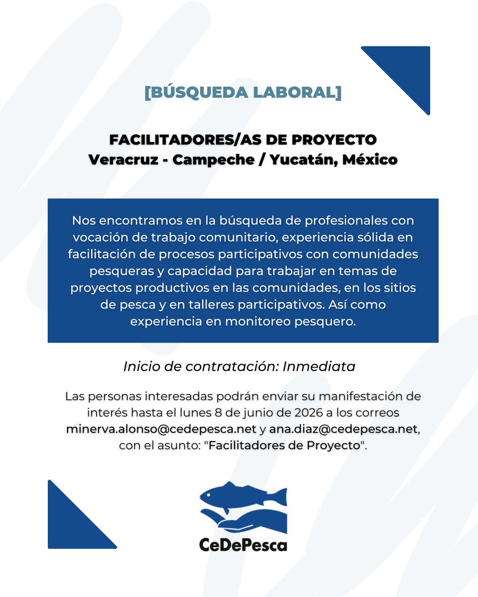 cedepesca's tweet photo. https://t.co/XgjTUeibhU #OfertaLaboral https://t.co/bNFEE5mvY4