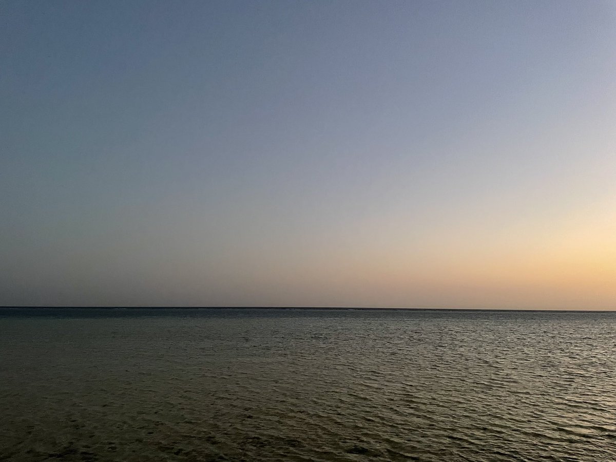 AegonMU's tweet photo. أمل 🌅 https://t.co/2pHYRgKjDC