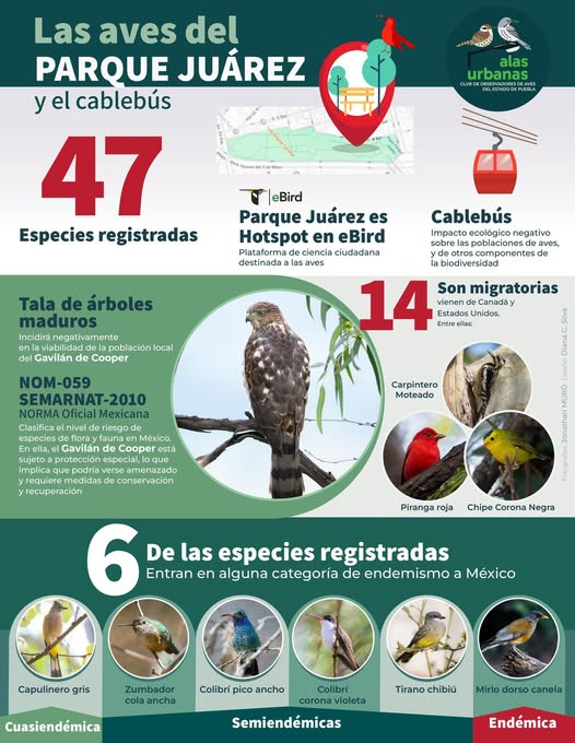 JoserRP's tweet photo. @JIvanHerrera_ @SmartCityLATAM qué interesante https://t.co/xKNrT0U3am