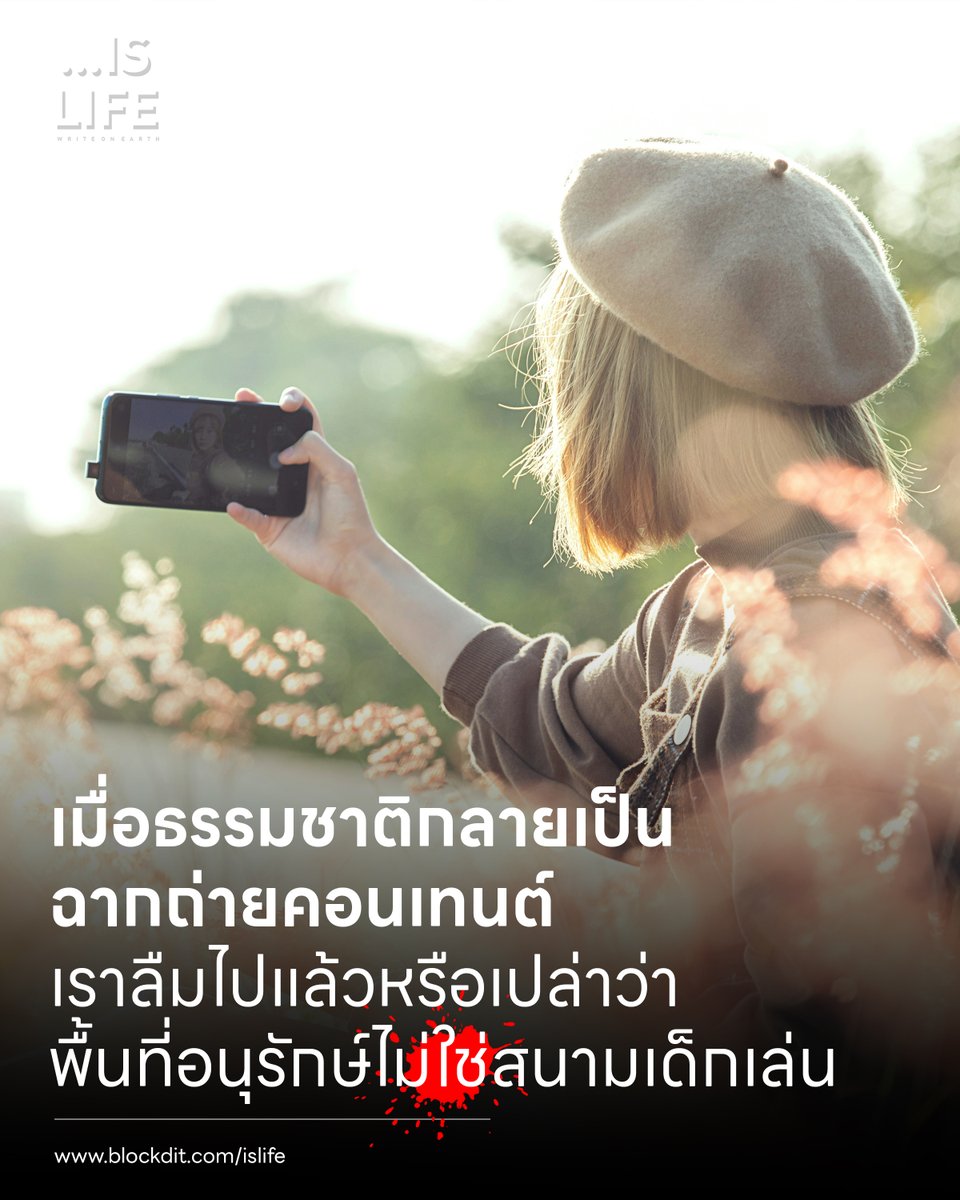 IsLife_Write's tweet photo. ผืนป่า น้ำตก ทุ่งหญ้า หรือแม้แต่หลุมระเบิดเก่าในป่า ไม่ได้มีคุณค่าเพราะสวยพอให้เราถ่ายรูปโพสต์ลงโซเชียลมีเดีย แต่มีคุณค่าเพราะมันยังคงทำหน้าที่ของมันอยู่ทุกวัน เป็นบ้านของสิ่งมีชีวิต เป็นแหล่งเก็บความทรงจำของประวัติศาสตร์ - อ่านบทความ https://t.co/H4Bi4fhfOE https://t.co/2ipiIZOot2