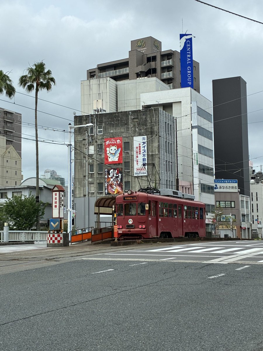 matz02's tweet photo. 5km 45分とゆるゆるrun終了♫

帰り道が若干分からなくなり路面電車の線路を頼りに走ってきたら

駅まで来てたww

#高知
#朝ラン
#やなせたかし
#香美市 https://t.co/cZ58ii4p8G