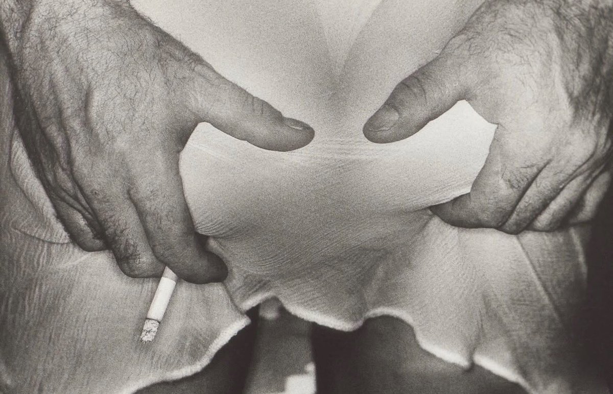 0detobeauty's tweet photo. “The Firm” by Jocelyn Bain Hogg, 2011 | @ archivistmag https://t.co/RdWRsfakBr