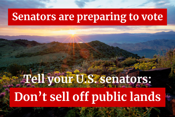 EnvAm's tweet photo. We need your voice: The Senate is preparing for a vote that will impact whether or not our public lands can be sold to the highest bidder.

Send a message to your U.S. senators urging them to keep public lands in public hands: https://t.co/i3jwS09o54 https://t.co/kZQ6sgqAR1