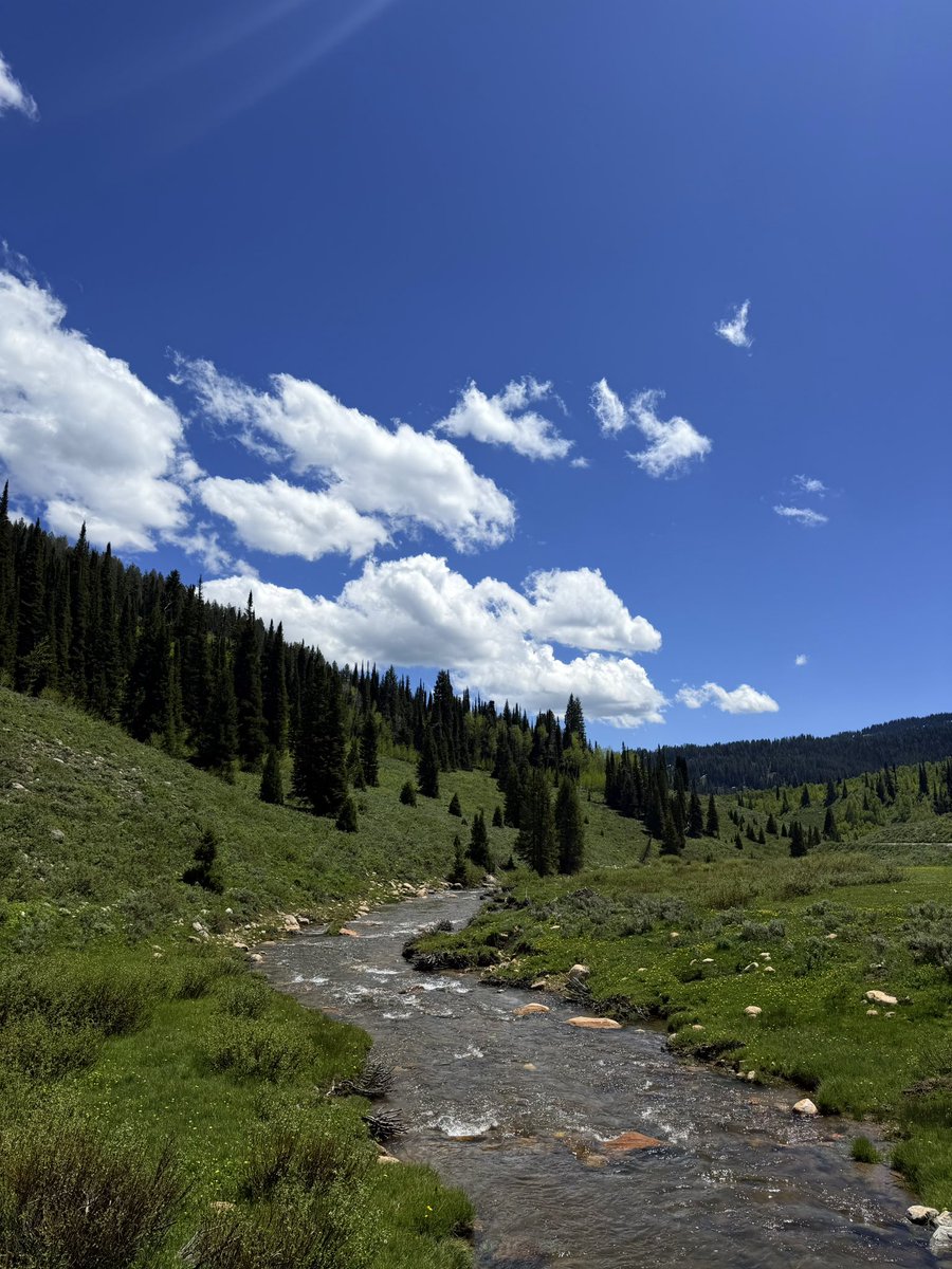_crucified1's tweet photo. I love the outdoors https://t.co/bdPCcUof0A
