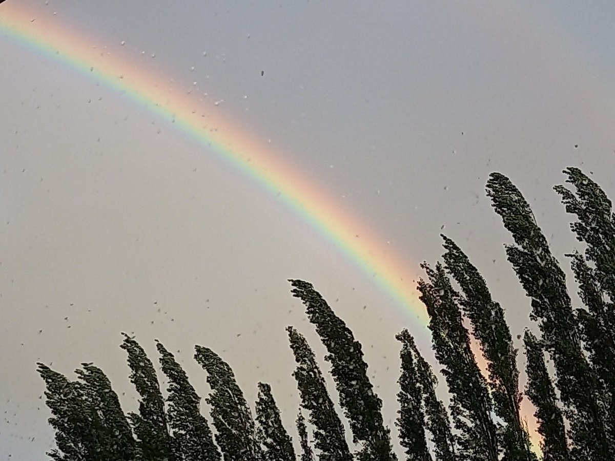 EvergreenPeri's tweet photo. Gay month is REAL!!! https://t.co/SFs4srnStx