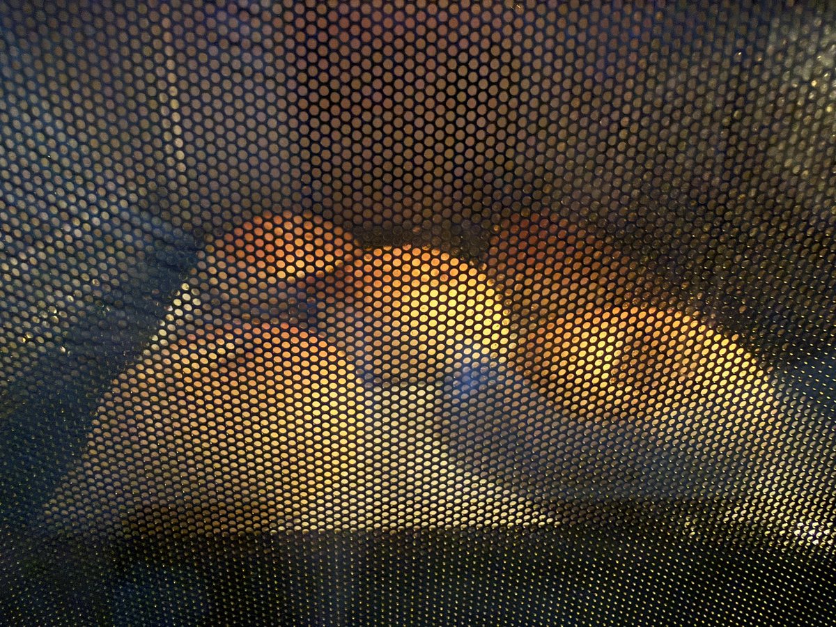 t919kai's tweet photo. 今日は朝から黒糖ベーグル作った🥯
朝5時からするものではないけども… https://t.co/0Xb5xl5smJ