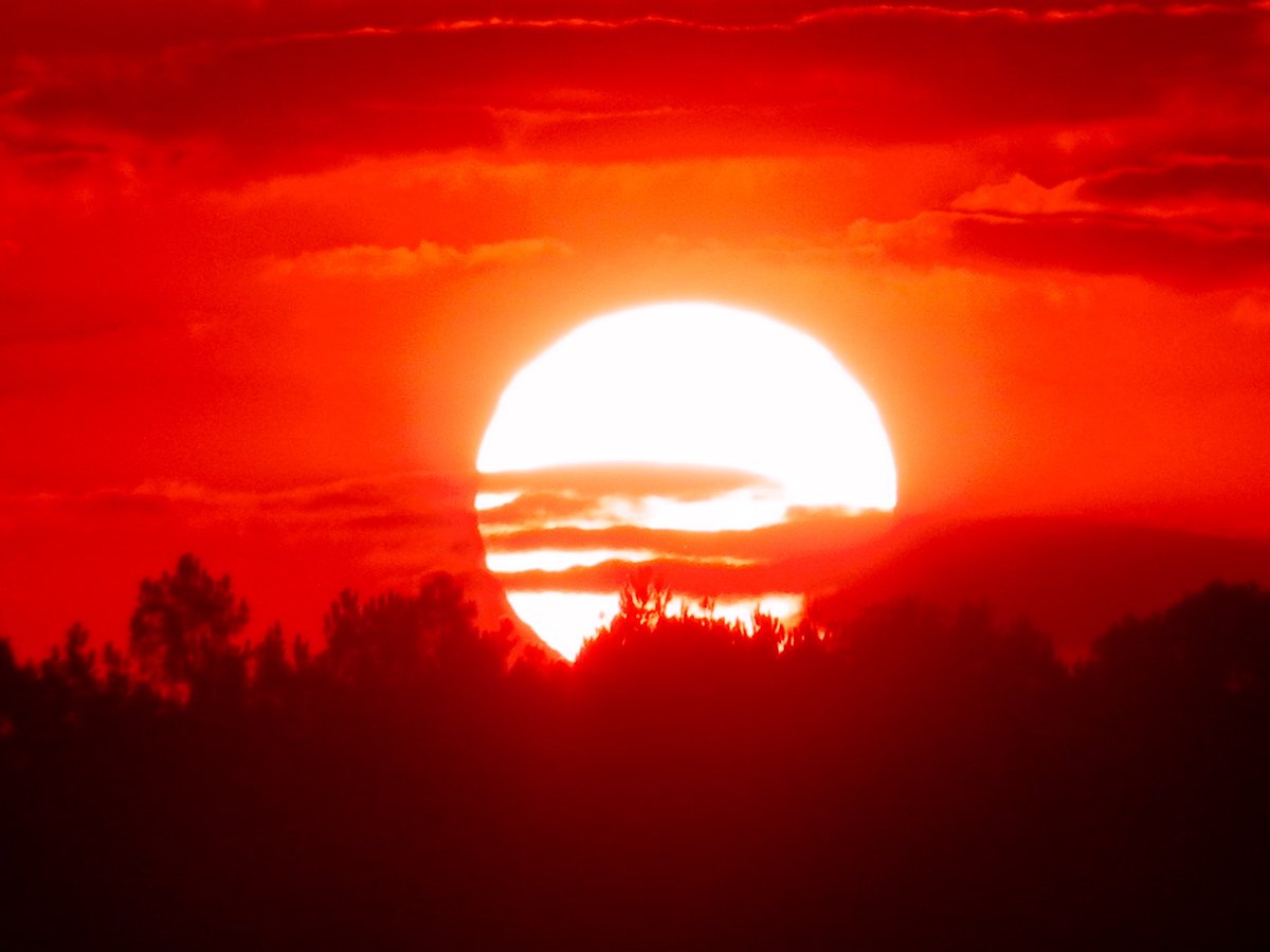 splendidesoleil's tweet photo. « Photographe par le regard, peintre par la retouche » https://t.co/DMDqRjBTAi
